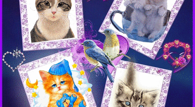 CHATS OISEAUX COEURS