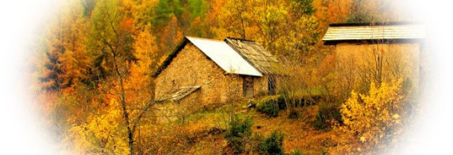 Automne !