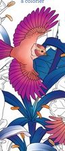 Epub ebooks téléchargements Birdies  - 50 marque-pages à colorier par Florence Dellerie