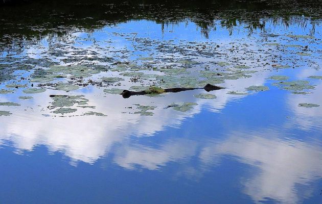 défi reflets d'Annie 22