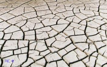 Le divorce entre en scène