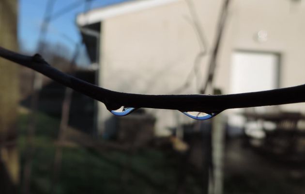 le monde des gouttes d'eau