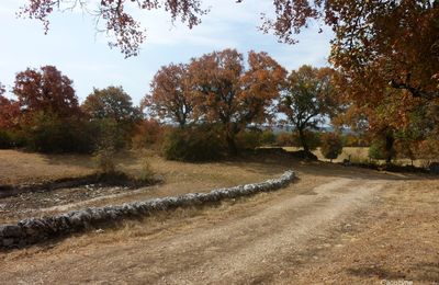 Août 2022  sur le Causse