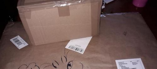 Le retour de nos chats