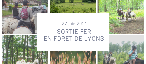 Reprise des sorties !