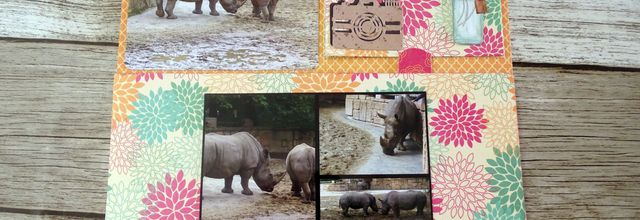 Page spéciale gros gabarits pour l'album sur le zoo de la Palmyre