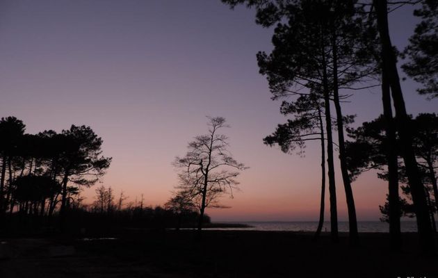 un soir au lac de Sanguinet  (40)