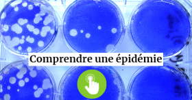 SARS-CoV-2 : quel est ce virus émergent ?