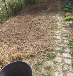 18/07/2020 jardinage