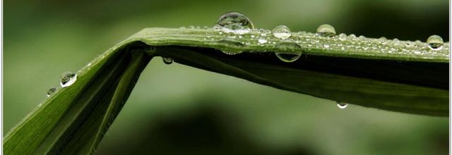 Goutte d'eau (4)