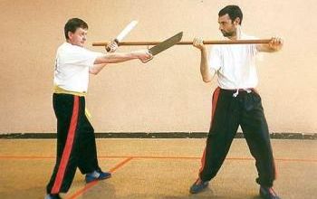 Qu'est-ce-que le Wing Chun ?