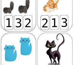Compter des chats