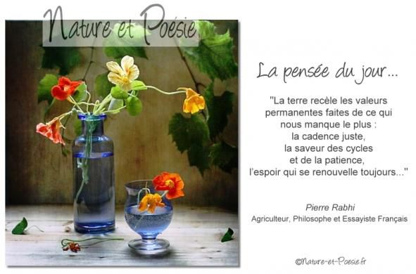 Citations en images : La terre...