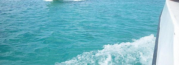 BALADE A L'ÎLE CATALINA ET SUR LE RIO CHAVON ( RÉP. DOMINICAINE)