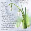 Dictons et Fête du jour Aubin + grille prénom !