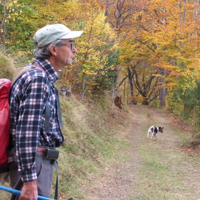 nature....loisirs...photos..