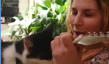 Charlotte Wessel : Vidéo sympa avec son chat Iggy