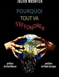 Download Pdf Pourquoi tout va s'effondrer