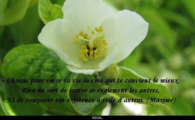 Choisis...