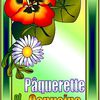 Pâquerette et Capucine