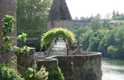 EB - Albi : les jardins du Palais de la Berbie et les bords du Tarn...