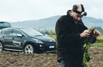 La vie très privée de Monsieur Sim...