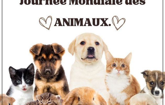 Journée mondiale des animaux