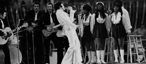 photo elvis