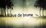 Rêve de Brume