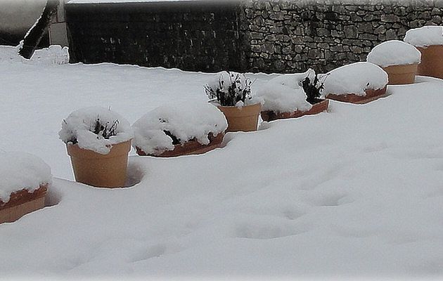 Pots d'hiver