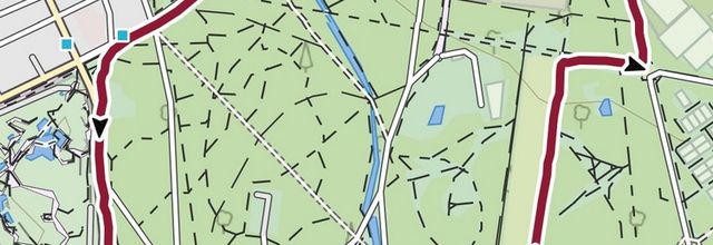 Dans le bois de Vincennes