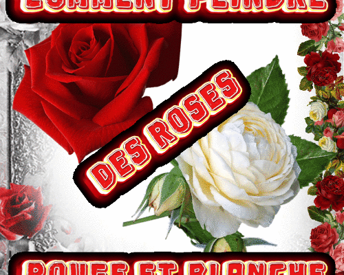 Dessin et peinture - vidéo 4120 :  Comment peindre des roses (rouge et blanche) de façon réaliste 1/2. - aquarelle.