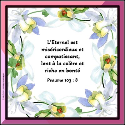 Psaume 103 : 8