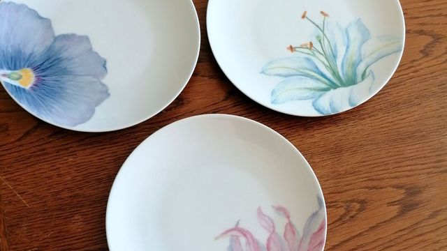 peinture sur porcelaine