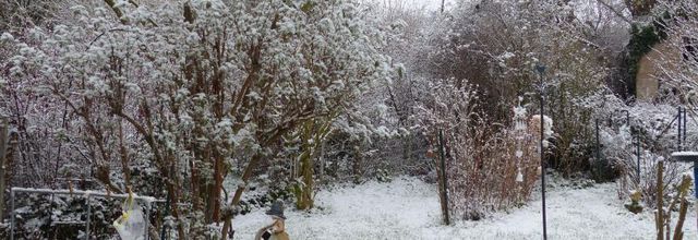 Quelques flocons
