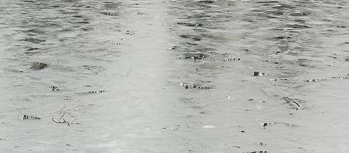 projet 52 monochrome