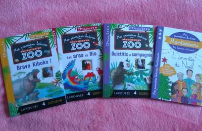 Mes premières lectures « une saison au zoo » (découverte)
