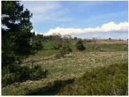 LES SALHENS DE JAVOLS (Lozère - 48)