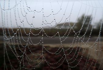 une toile et des gouttes 