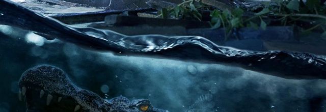 Crawl (2019) - Be quick or be dead - 6/10 (23/07/19)