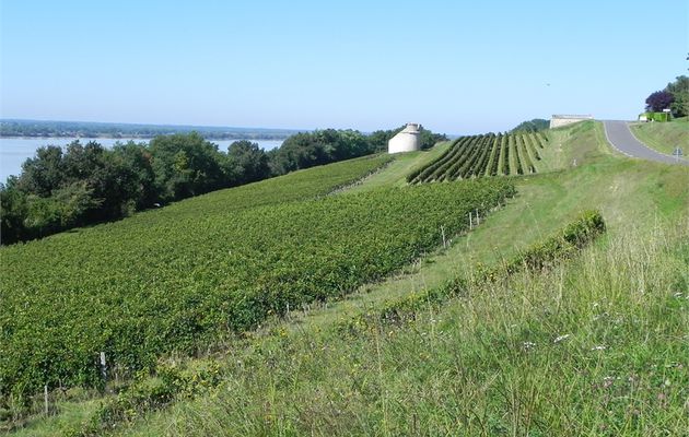 La corniche de la Gironde - Château Tayac