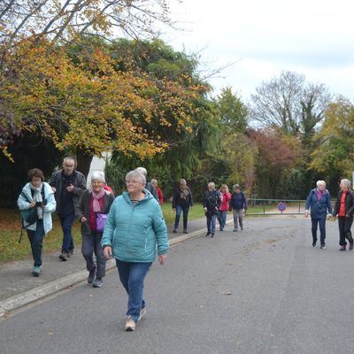 La balade du 4 novembre entre Ifs et Cormelles
