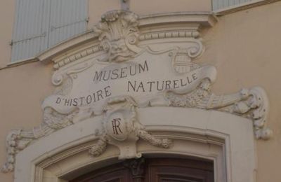 Musée d'Histoire Naturelle