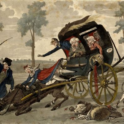 L'animal vu par l'Homme...