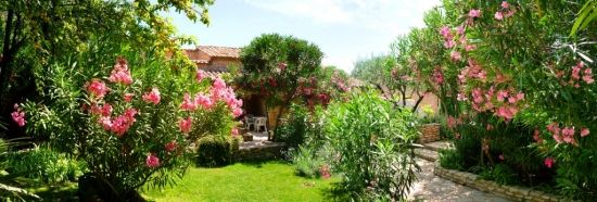 Edito jardin d'Octobre