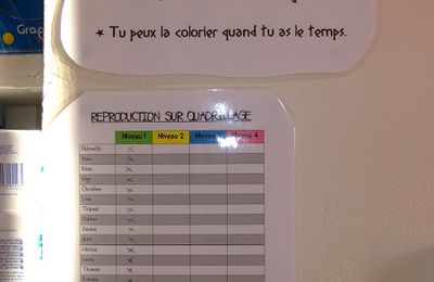 Reproduction sur quadrillage