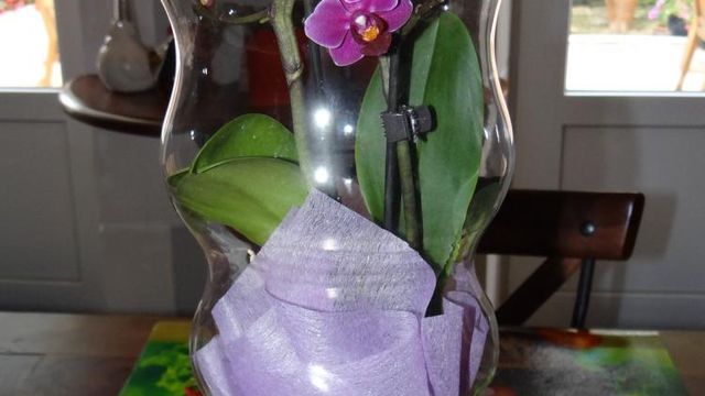 Le Bouquet de la Fin de Semaine