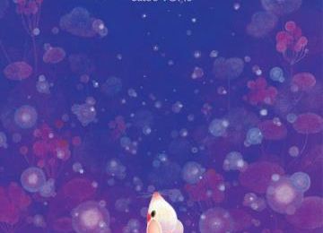 Où est mon étoile ?