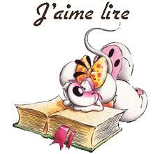 Sal "Protège livre de poche"