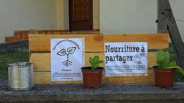 Les INCROYABLES comestibles